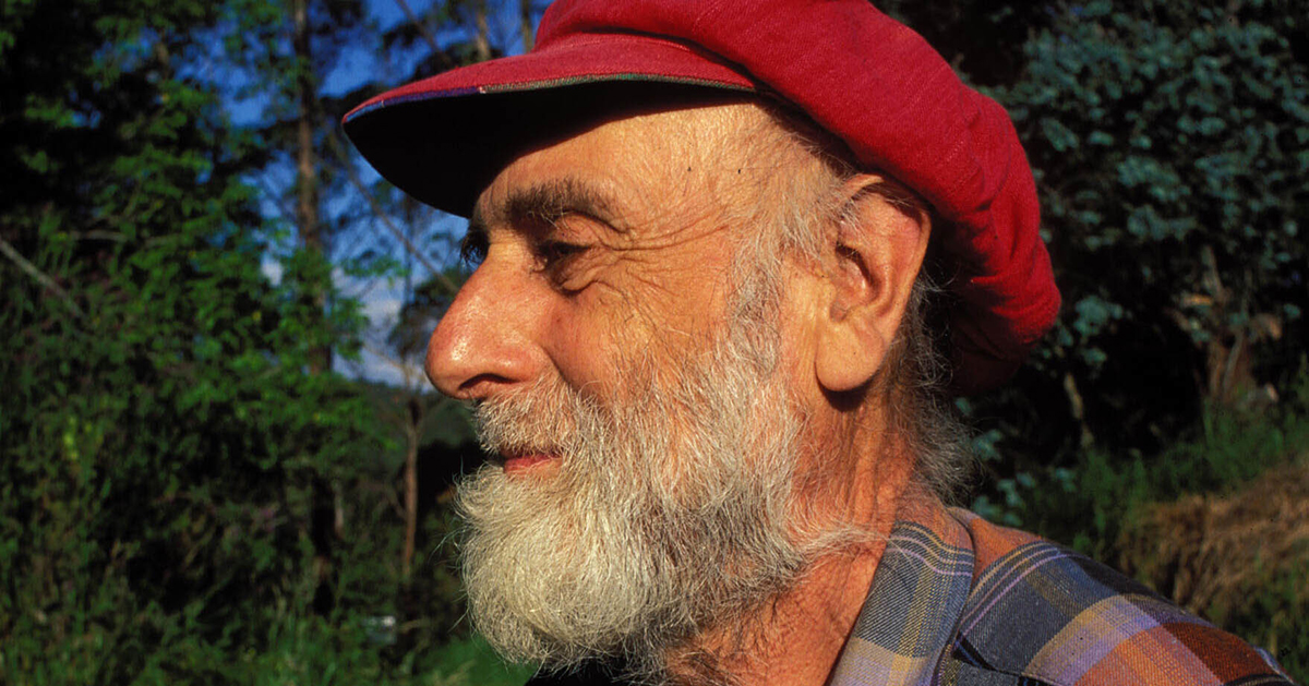 Hundertwasser, graditelj krivih zidova