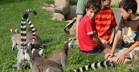 Biopark Valensija, zoološki vrt nove generacije