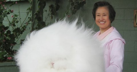 It's so fluffy I'm gonna die! 