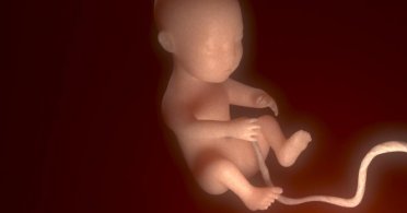 3D fetus - korak dalje u industriji prenatalnih proizvoda