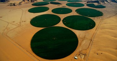 Organska farma u pustinji Wadi Rum