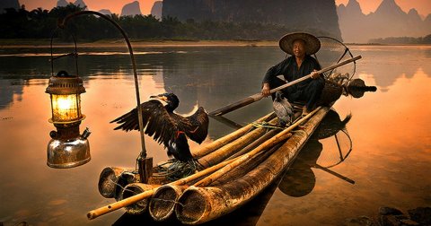 Ukai, drevna veština pecanja sa kormoranima