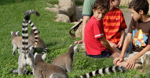 Biopark Valensija, zoološki vrt nove generacije