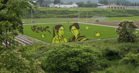 Umetnost na poljima pirinča