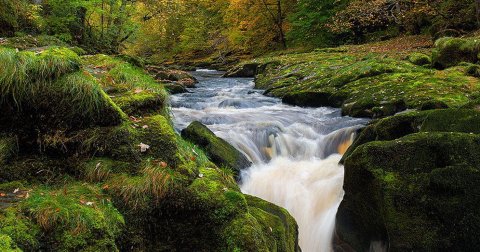 Bolton Strid, potok koji guta ljude