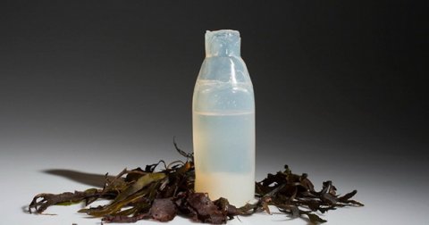 Biorazgradive boce od algi umesto toksične plastike