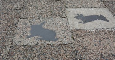 Bakarni zečevi u asfaltu, memoari Berlinskog zida
