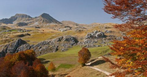 Na skriveno te vodim mesto - Pešter, dom staroslovenskih hramova u srpskom Sibiru