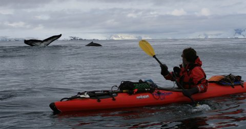Prvi put kajakom oko ostrva Antarktika