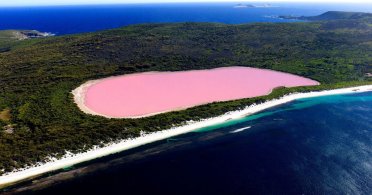 Roze jezero Hillier u Australiji