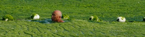 Zelena čudovišta iz kineskih mora