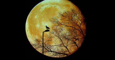Pun Mesec – hladna, užarena skitnica
