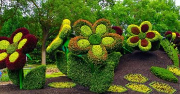 Spektakularne skulpture od biljaka - Botanička bašta, Montreal
