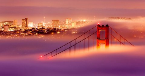 Magle San Franciska